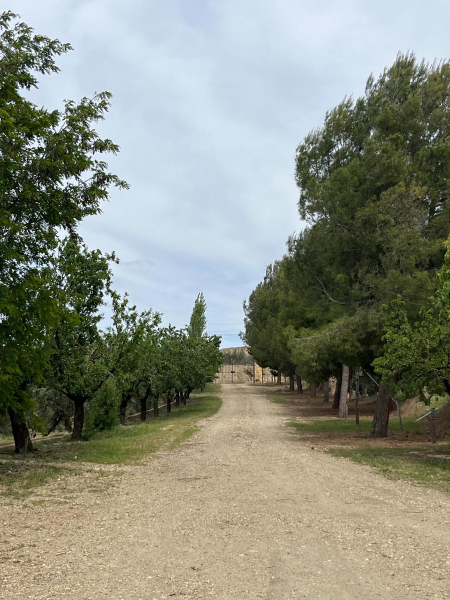 Cortijo Don Meliton Villa Guadix Eksteriør billede